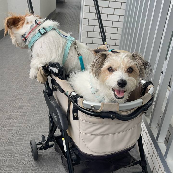 Cdadcfa1 8c52 4691 9019 9776553ef380 1776430174631