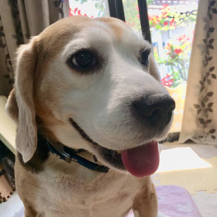 Cdade2e5 32f6 453e b11d 17f75a68f3f6 1555645819562