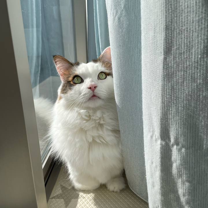 Cdae1386 3321 43a1 ba5c ac8dd7175fbc 1771577687171