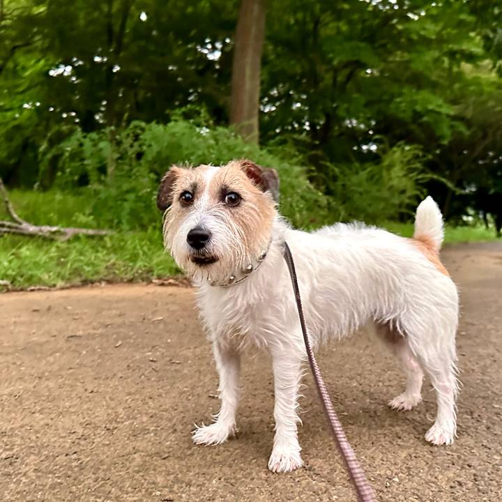 Cdae5eeb a108 425d 8a2e 53b9ccee78a4 1725655627812