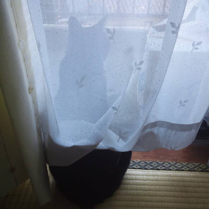 Cdae8a2a cad7 4a58 a3cf 2b25d7add41c 1536225423789