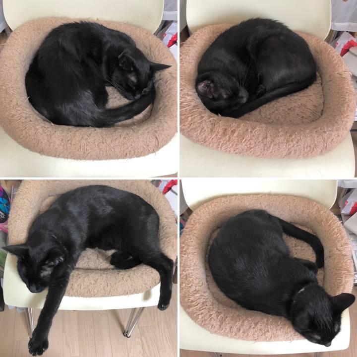 Cdaee8f0 104a 4582 ba7a d16ada36b1e3 1629018400481