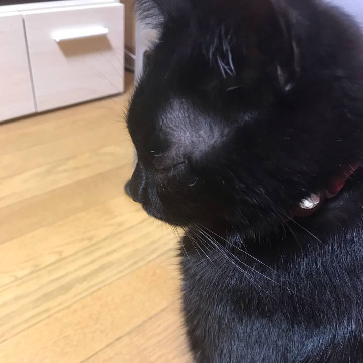 Cdaef7bb c039 45d9 8e06 5d2fa0383bf1 1580627770637