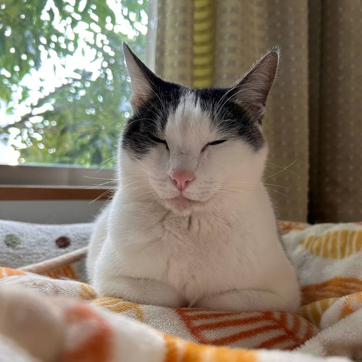 Cdaf1e58 6793 43d8 9d77 10fe99cd0e52 1734311270369