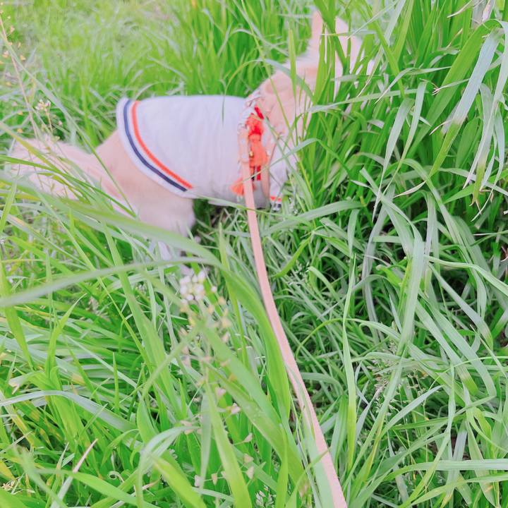 Cdaf35c3 ff14 4773 be0d cb0eabd01aa5 1680608615235