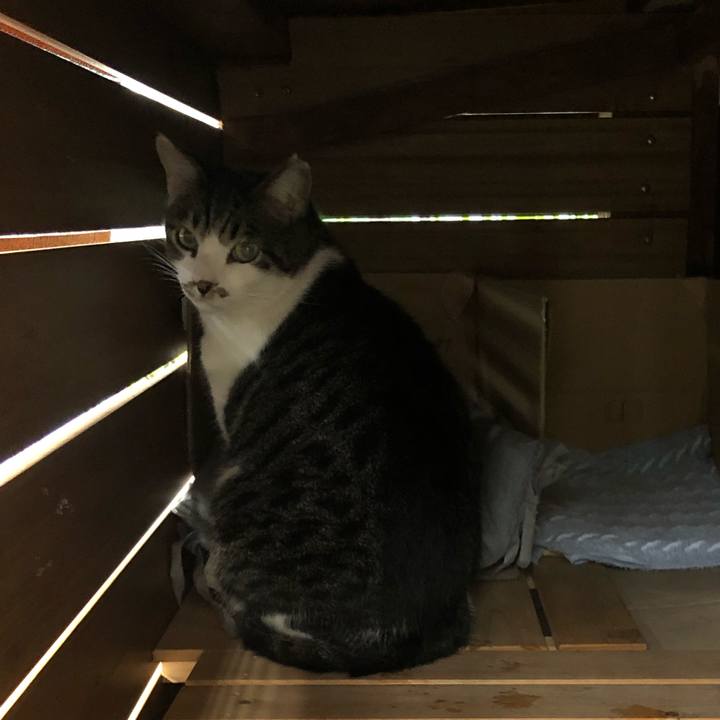 Cdaf67e3 63ae 46f5 becb 611a3c1efd40 1601085887840