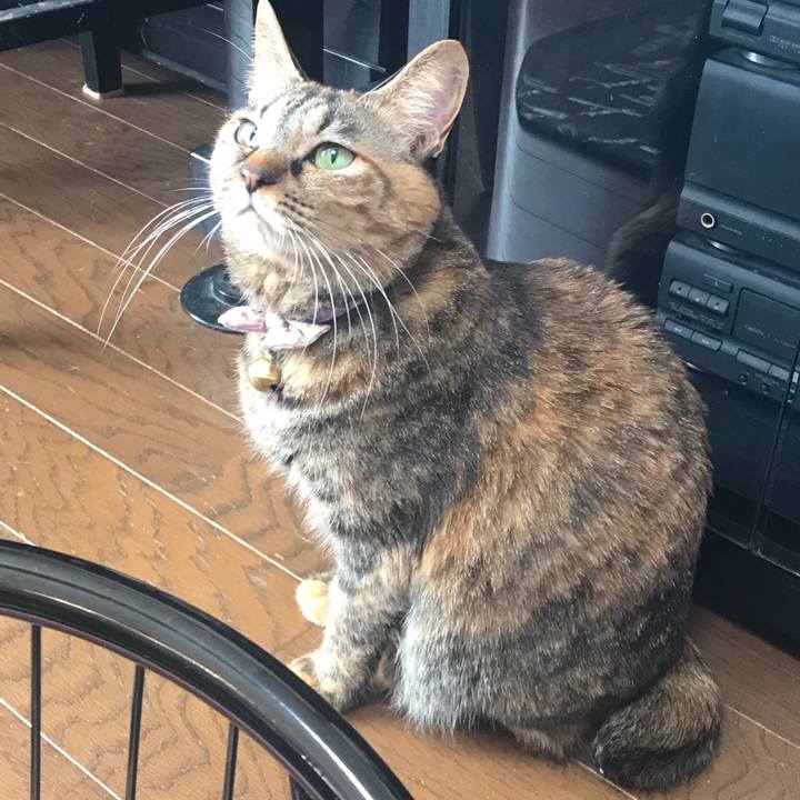 Cdaf6a11 c79d 4a7c b6af 7958566c60f5 1548501740048