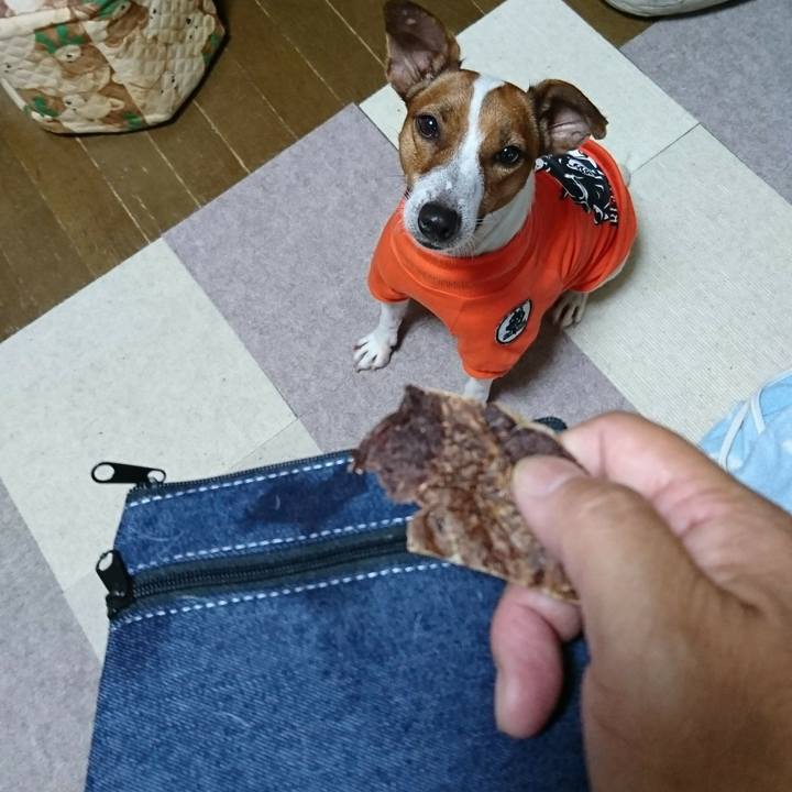 Cdaf8463 724f 41c8 a203 8afc69979a8d 1570843155189