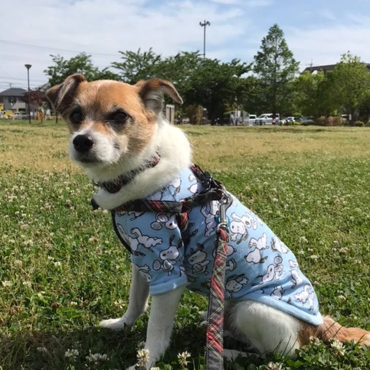 Cdaf9e37 5a08 439f b98e ea352a4d5730 1558485022242