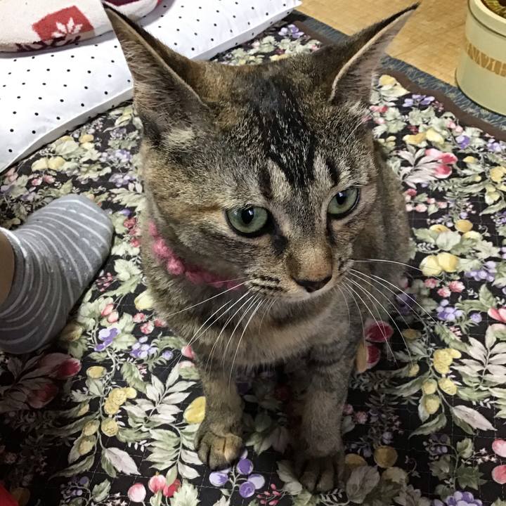 Cdafb17c e2af 4491 9b70 2ae390734b7d 1594255696175