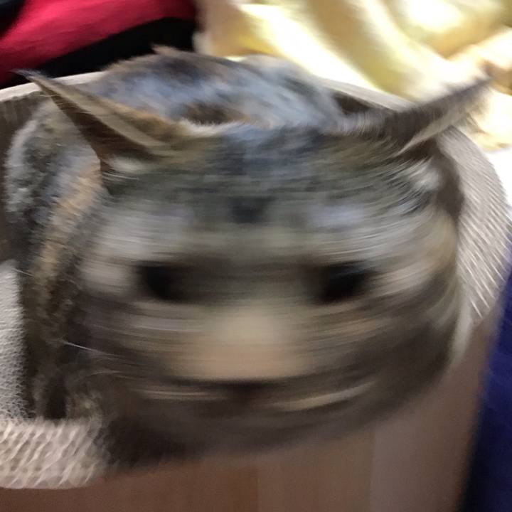 Cdafb2b2 790c 4e61 b020 e01738378e91 1716804599396