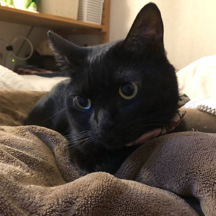 Cdaffe5c 2672 4cbd 9171 5f9e99d42215 1581549766324