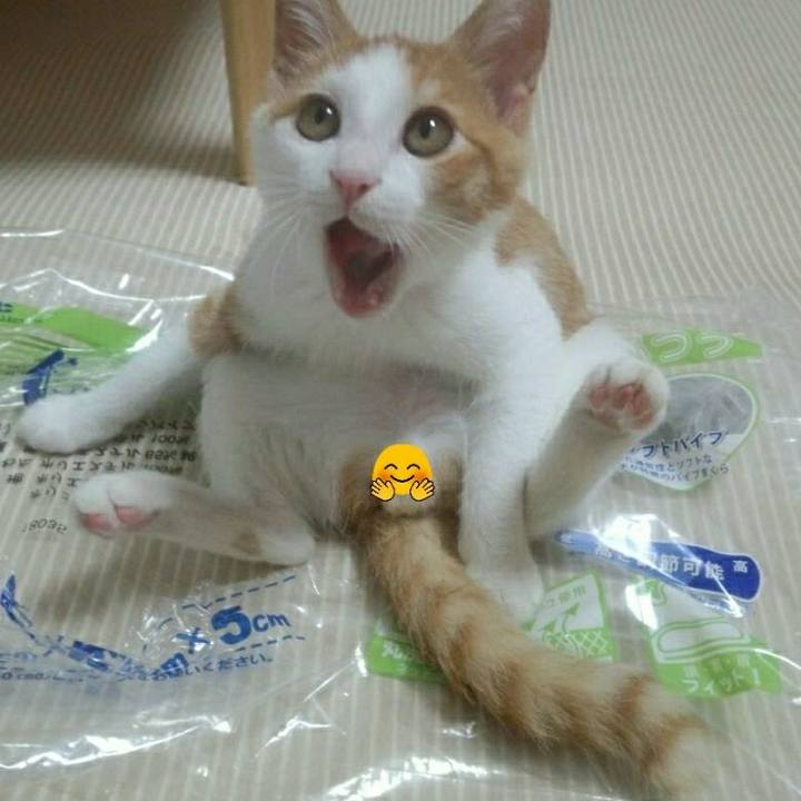 Cdb0001f 5427 47c2 b40c a05d14508ad0 1526170469885