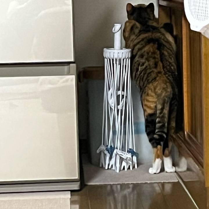 Cdb00666 8e18 4a08 960e 7403218cd63a 1687955818618