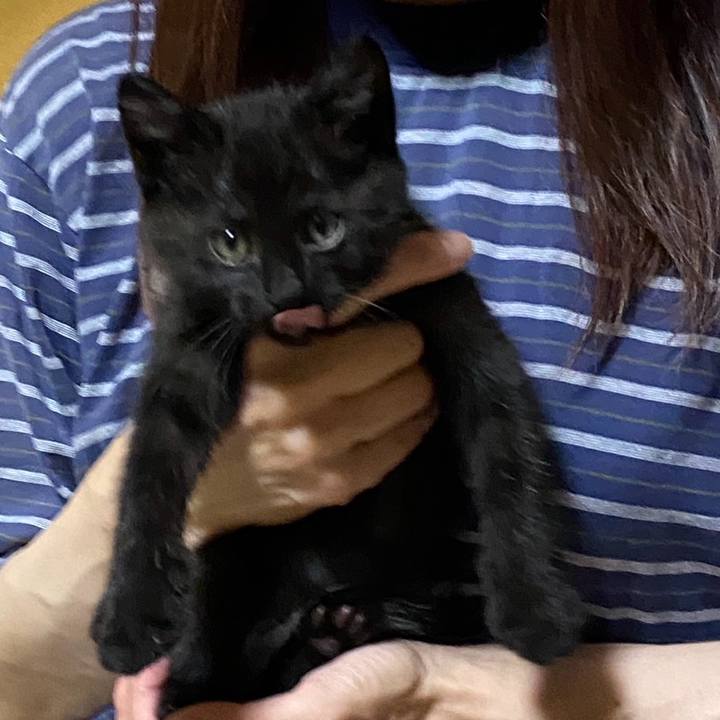 Cdb017b8 5242 49b9 8a3a 26db0c507604 1763987243868