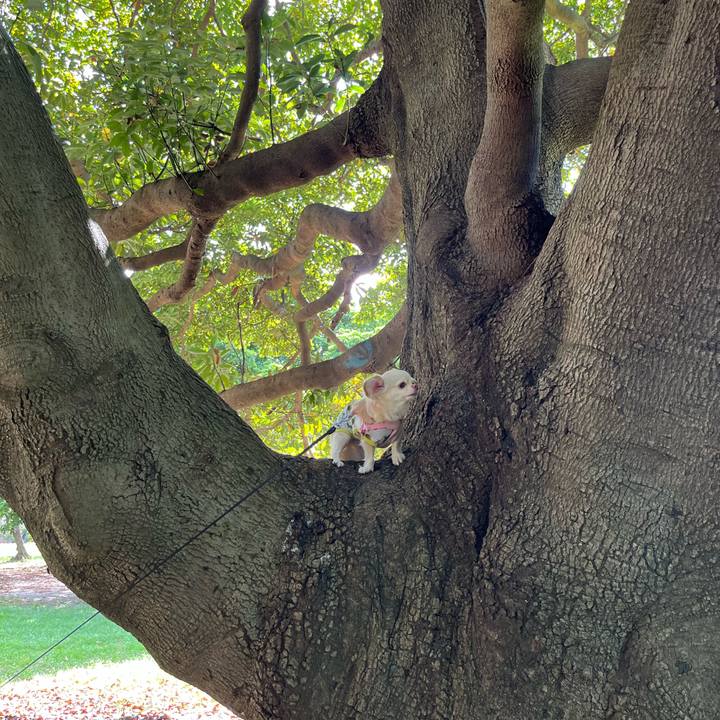 Cdb023ab ade5 4ece 81b3 230d0afdedde 1726405757815