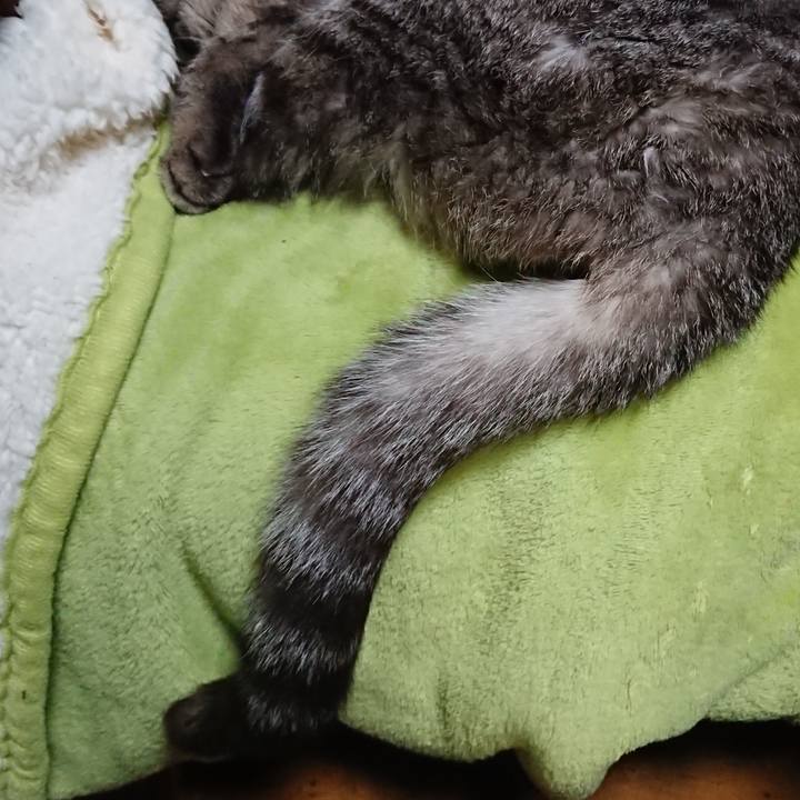 Cdb040ef 3a12 460f a9ab 5356c8c52100 1586862732551