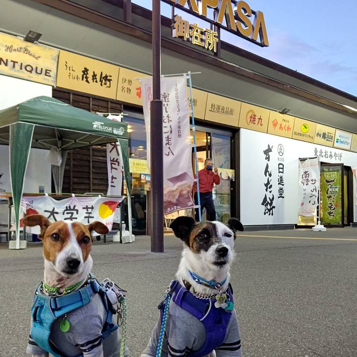 Cdb06511 75bd 4368 a0e4 19040e152f73 1664010411833