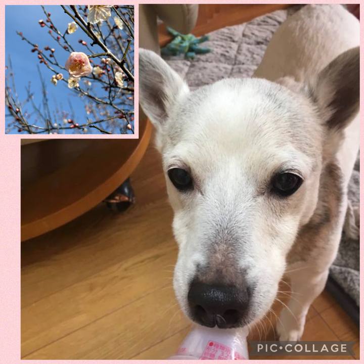 Cdb08c74 b468 4306 9be4 d224868d1743 1771108063892