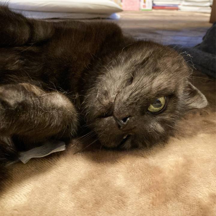 Cdb092fc e814 46b3 9821 b5bdebb0ac03 1621098600405