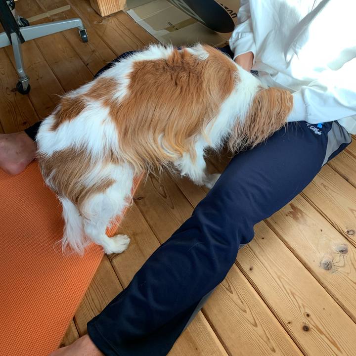 Cdb0a7f8 1902 48bc 8dab ea8e0d4a59f5 1614076792263