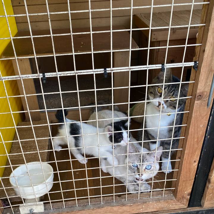 Cdb0c146 07cd 4218 8462 0eefb5a6576d 1653184169179