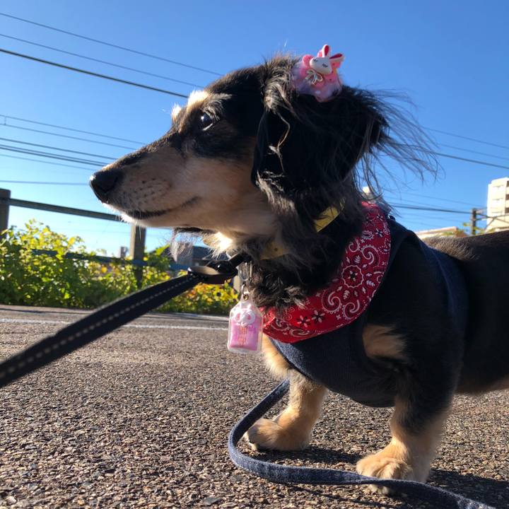 Cdb1080f cd4d 41b6 bd27 d1f1539421d6 1607041042152