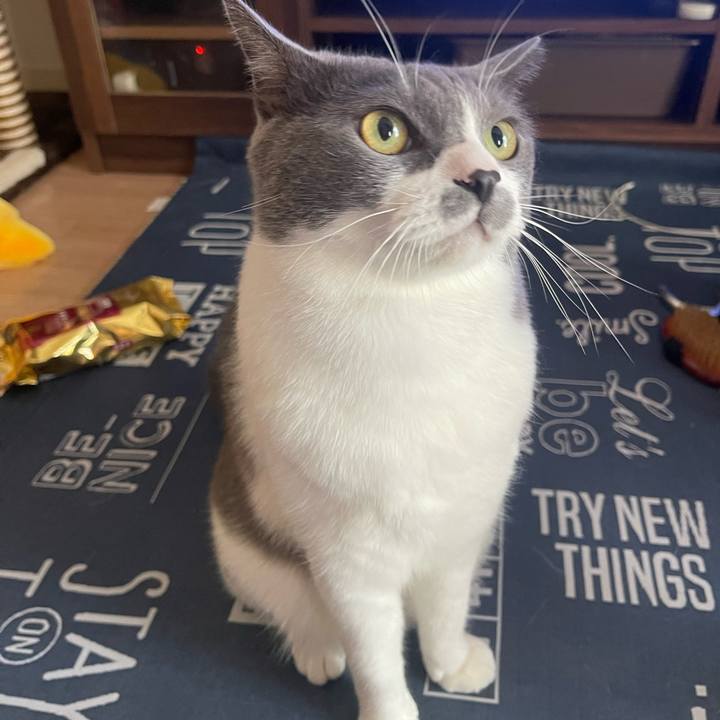 Cdb10ee2 9ed0 4682 b4f0 e4afdd93ac56 1693708011881