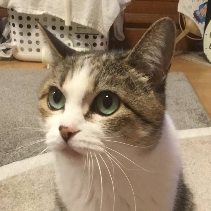 Cdb15ae1 a58b 40ba 841b b00cb8d3a050 1761606050339