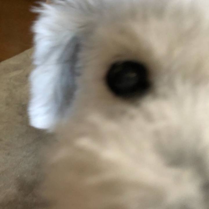 Cdb1804f d7b2 4ea2 8331 47d6c1924f18 1633910495428