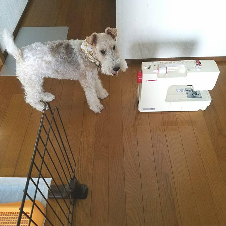 Cdb19e3c cdcb 4b8a ad2f 6088a41c632e 1533772490117