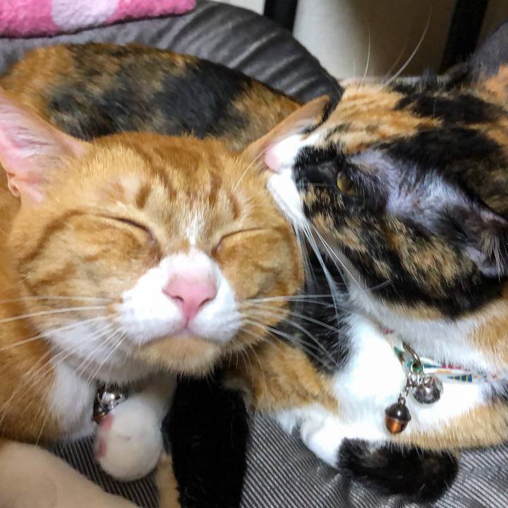 Cdb1d335 e102 4080 8f5c 11df1d5158e3 1589543237765