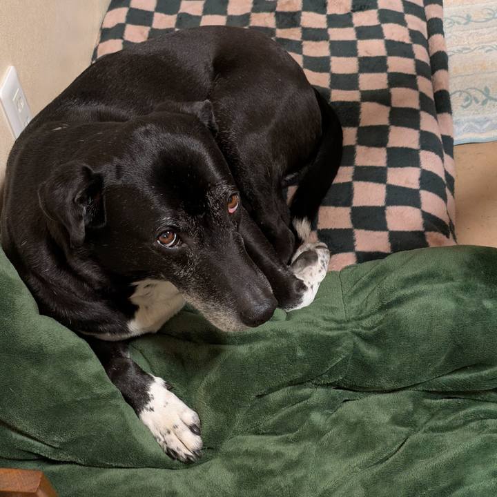 Cdb1d86f 94ec 42de b49d 44420934a088 1740393951200