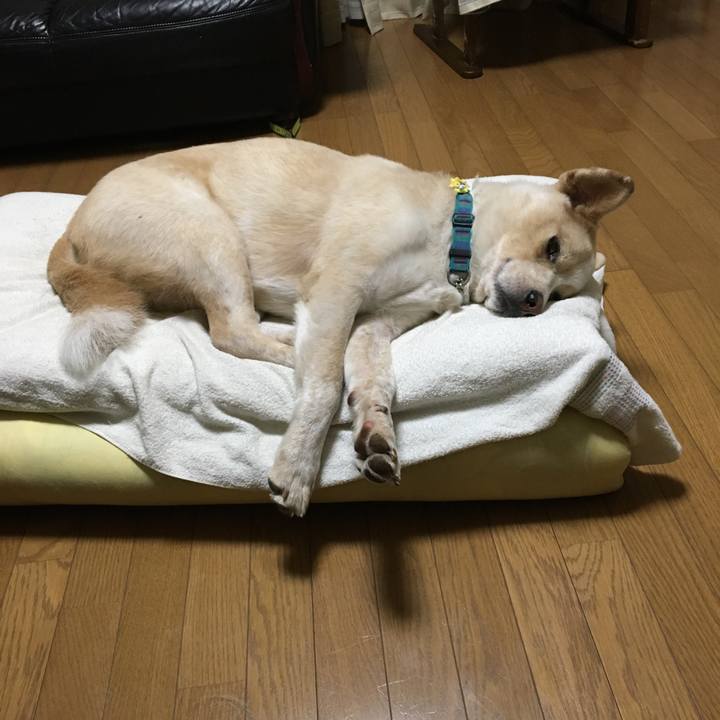 Cdb1e540 238a 42ef 90ba 5e3f9126c73d 1531228235079