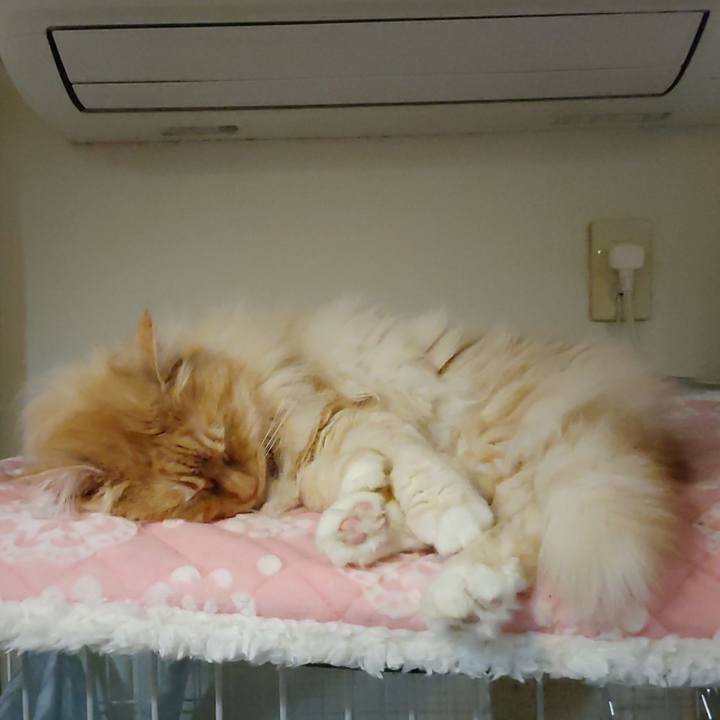 Cdb239c1 16c0 4194 a56f 371847b3d9af 1712534880409