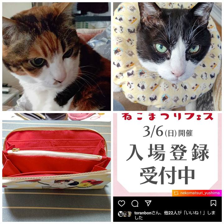 Cdb242b5 cab6 4aa0 9a41 98db982a73ae 1646489579688