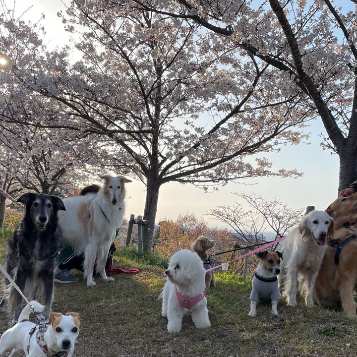 Cdb289df 3ce4 4178 aa3b d16ee801c7b7 1616760440702