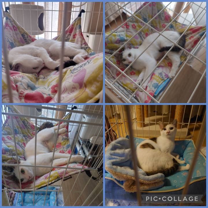 Cdb2a871 6a62 4629 bc07 10ab8d4d72ea 1689654339481