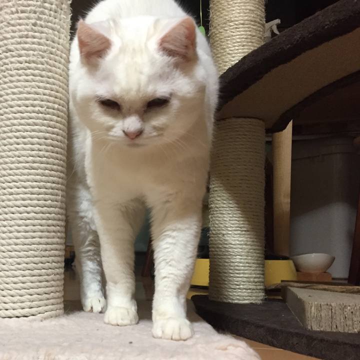 Cdb2c538 a3b8 40be 9719 681c6b14b2e1 1519825862895