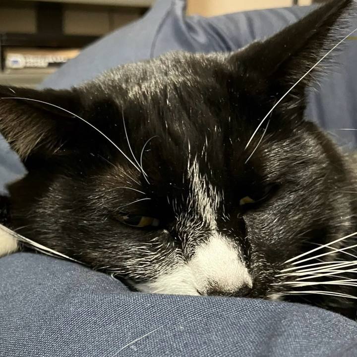 Cdb2e790 5679 4778 8b06 ba6ff6e21d0d 1703320989070