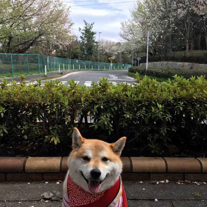 Cdb30799 eabe 477a 91f5 b02c53d9c83f 1585287850155