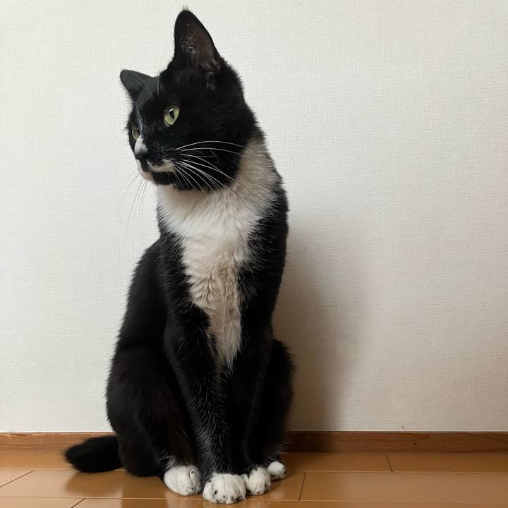 Cdb34a88 38fe 4b14 a35c 9e0ee86f0dbd 1730438793673