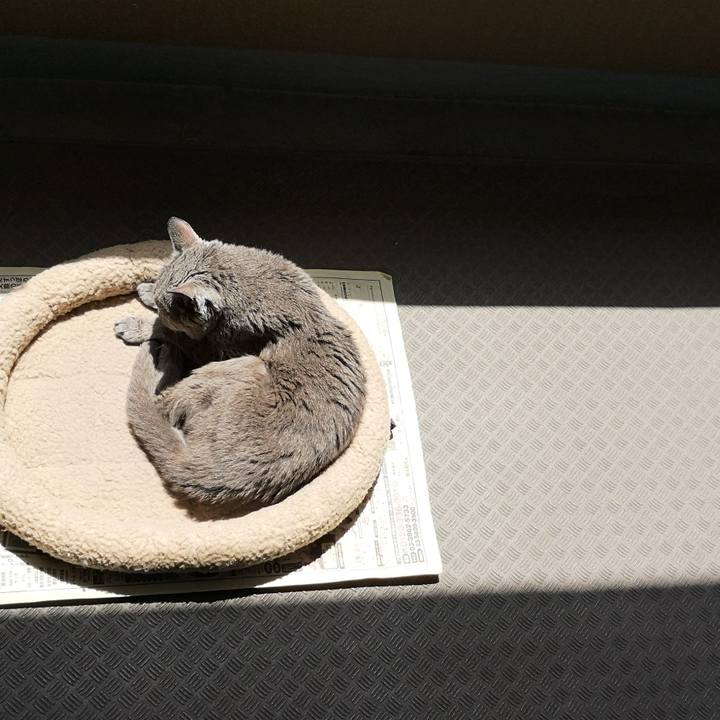 Cdb37edd 27ee 4f18 86e5 075166599719 1682150220752