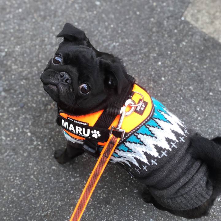 Cdb3863b b2bf 4ad8 abf9 c716345019b1 1607339296092