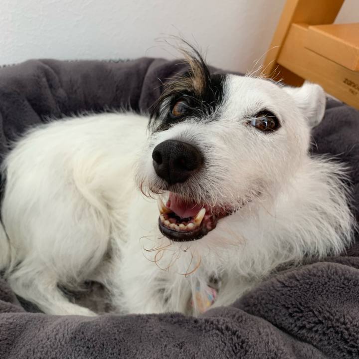 Cdb3a9ad 5fbd 4318 a00c ca5316556dda 1657595579753