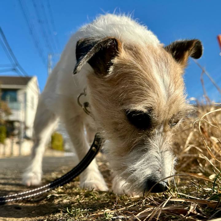 Cdb3b928 8297 43cc a91e cc91c01a1935 1740441520939