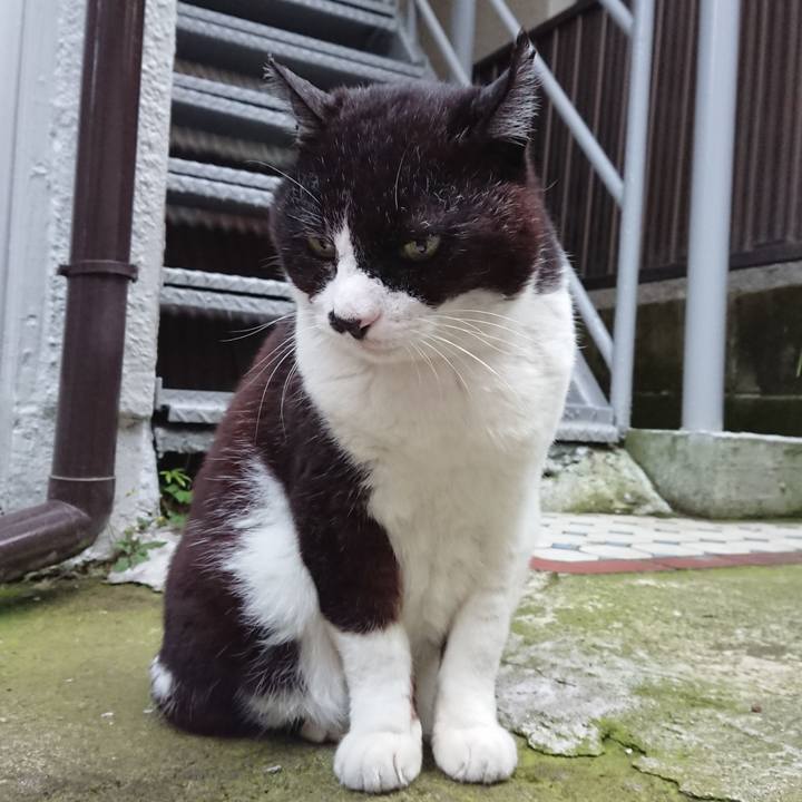 Cdb3c110 ea17 41b0 a783 2ad2ac1c1245 1685528559623