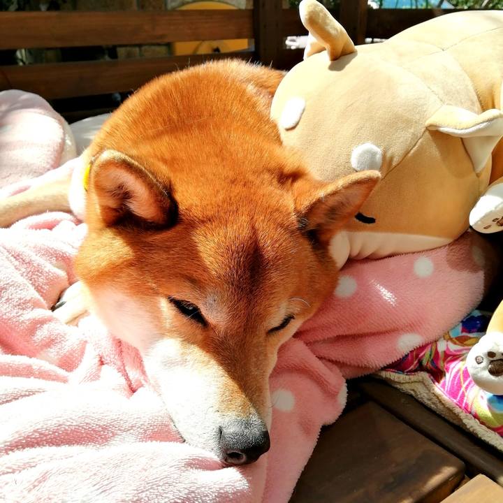 Cdb3d354 b14e 453c a57a 603b6dd9e0b6 1648863831881