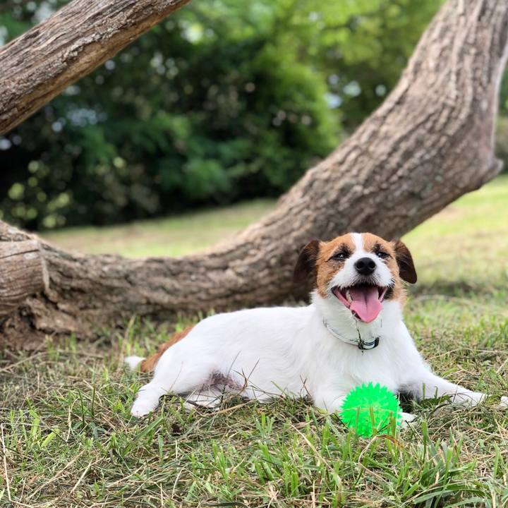 Cdb40d07 8dae 470d 9db7 4914415c7d3a 1531065918113