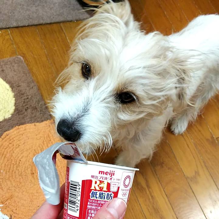 Cdb424fd 0181 4cac befd 59538cc0ba3b 1551392968291